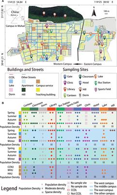 The Seasonal Dynamics and the Influence of Human Activities on Campus Outdoor Microbial Communities